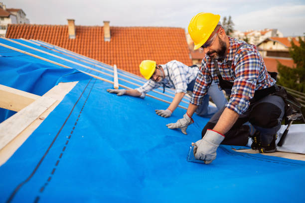 Best Rubber Roofing (EPDM, TPO)  in Rochester, WA